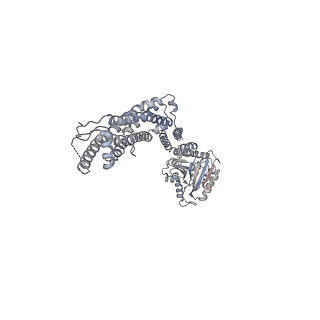 8874_5wp9_O_v1-3
Structural Basis of Mitochondrial Receptor Binding and Constriction by Dynamin-Related Protein 1