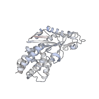 8874_5wp9_P_v1-2
Structural Basis of Mitochondrial Receptor Binding and Constriction by Dynamin-Related Protein 1