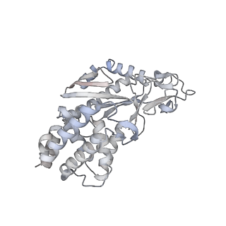 8874_5wp9_P_v1-3
Structural Basis of Mitochondrial Receptor Binding and Constriction by Dynamin-Related Protein 1