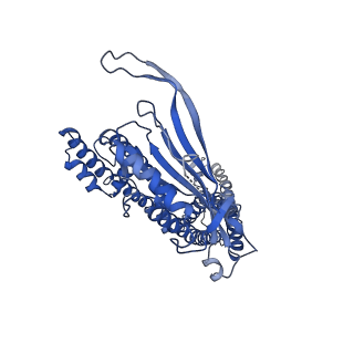 8881_5wpq_A_v1-3
Cryo-EM structure of mammalian endolysosomal TRPML1 channel in nanodiscs in closed I conformation at 3.64 Angstrom resolution