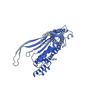8881_5wpq_B_v1-3
Cryo-EM structure of mammalian endolysosomal TRPML1 channel in nanodiscs in closed I conformation at 3.64 Angstrom resolution