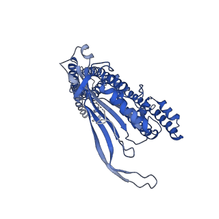 8881_5wpq_C_v1-3
Cryo-EM structure of mammalian endolysosomal TRPML1 channel in nanodiscs in closed I conformation at 3.64 Angstrom resolution
