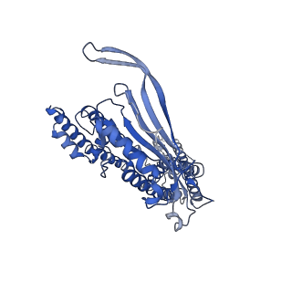 8882_5wpt_A_v1-3
Cryo-EM structure of mammalian endolysosomal TRPML1 channel in nanodiscs in closed II conformation at 3.75 Angstrom resolution