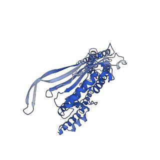 8882_5wpt_B_v1-3
Cryo-EM structure of mammalian endolysosomal TRPML1 channel in nanodiscs in closed II conformation at 3.75 Angstrom resolution