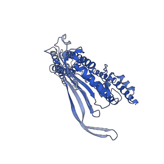 8882_5wpt_C_v1-3
Cryo-EM structure of mammalian endolysosomal TRPML1 channel in nanodiscs in closed II conformation at 3.75 Angstrom resolution