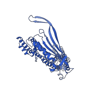 8883_5wpv_A_v1-3
Cryo-EM structure of mammalian endolysosomal TRPML1 channel in nanodiscs at 3.59 Angstrom resolution
