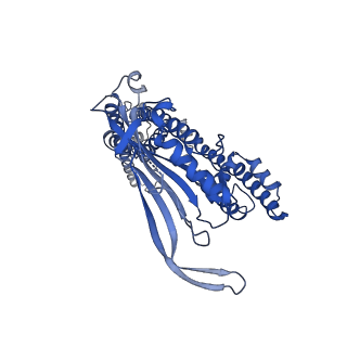 8883_5wpv_C_v1-3
Cryo-EM structure of mammalian endolysosomal TRPML1 channel in nanodiscs at 3.59 Angstrom resolution