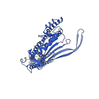 8883_5wpv_D_v1-3
Cryo-EM structure of mammalian endolysosomal TRPML1 channel in nanodiscs at 3.59 Angstrom resolution