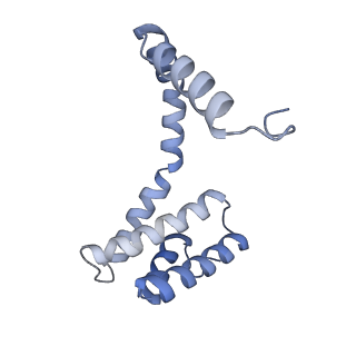 21867_6wq0_A_v1-1
Cryo-EM of the S. solfataricus rod-shaped virus, SSRV1