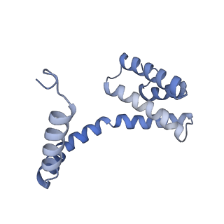 21867_6wq0_J_v1-1
Cryo-EM of the S. solfataricus rod-shaped virus, SSRV1