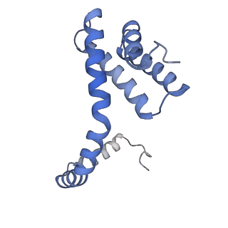 21867_6wq0_j_v1-1
Cryo-EM of the S. solfataricus rod-shaped virus, SSRV1