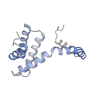 21867_6wq0_k_v1-1
Cryo-EM of the S. solfataricus rod-shaped virus, SSRV1