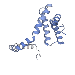 21867_6wq0_w_v1-1
Cryo-EM of the S. solfataricus rod-shaped virus, SSRV1