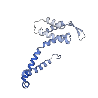 21868_6wq2_B_v1-1
Cryo-EM of the S. islandicus filamentous virus, SIFV