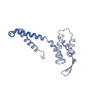 21868_6wq2_C_v1-1
Cryo-EM of the S. islandicus filamentous virus, SIFV