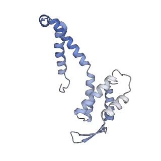 21868_6wq2_E_v1-1
Cryo-EM of the S. islandicus filamentous virus, SIFV