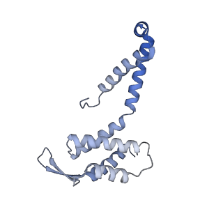 21868_6wq2_L_v1-1
Cryo-EM of the S. islandicus filamentous virus, SIFV