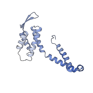 21868_6wq2_M_v1-1
Cryo-EM of the S. islandicus filamentous virus, SIFV
