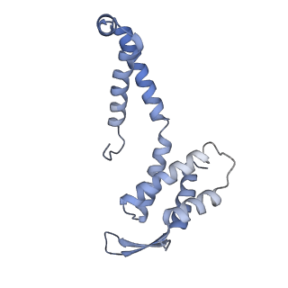 21868_6wq2_N_v1-1
Cryo-EM of the S. islandicus filamentous virus, SIFV