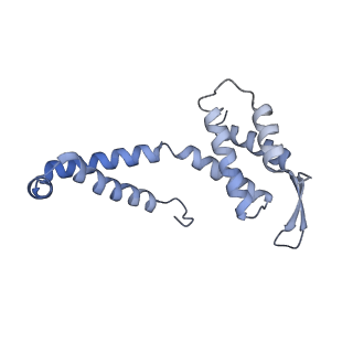 21868_6wq2_R_v1-1
Cryo-EM of the S. islandicus filamentous virus, SIFV