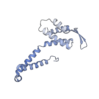 21868_6wq2_T_v1-1
Cryo-EM of the S. islandicus filamentous virus, SIFV