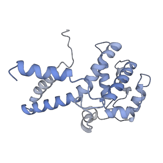 21868_6wq2_c_v1-1
Cryo-EM of the S. islandicus filamentous virus, SIFV