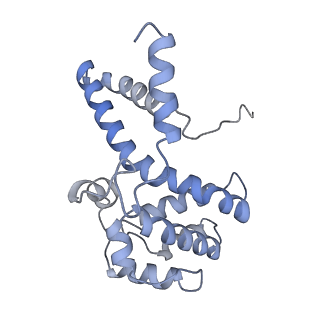 21868_6wq2_g_v1-1
Cryo-EM of the S. islandicus filamentous virus, SIFV