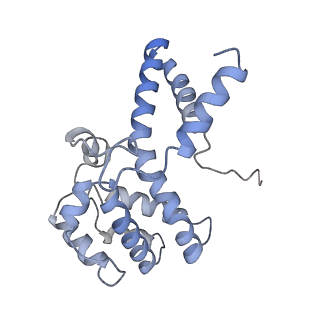21868_6wq2_i_v1-1
Cryo-EM of the S. islandicus filamentous virus, SIFV