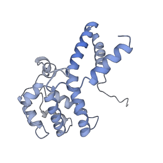 21868_6wq2_j_v1-1
Cryo-EM of the S. islandicus filamentous virus, SIFV