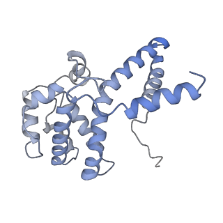 21868_6wq2_k_v1-1
Cryo-EM of the S. islandicus filamentous virus, SIFV