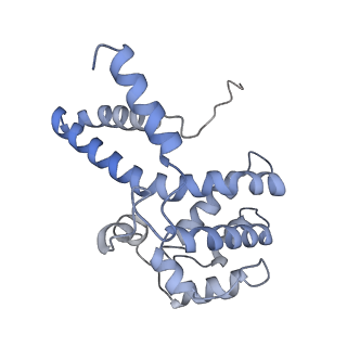 21868_6wq2_n_v1-1
Cryo-EM of the S. islandicus filamentous virus, SIFV