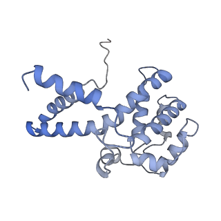 21868_6wq2_p_v1-1
Cryo-EM of the S. islandicus filamentous virus, SIFV