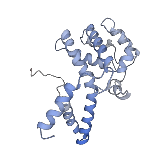 21868_6wq2_t_v1-1
Cryo-EM of the S. islandicus filamentous virus, SIFV
