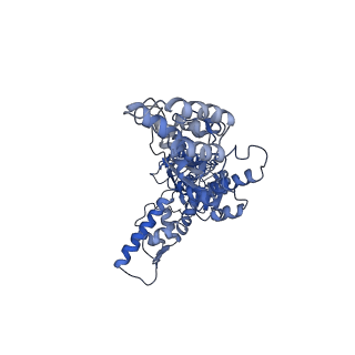 21870_6wqh_A_v1-2
Molecular basis for the ATPase-powered substrate translocation by the Lon AAA+ protease