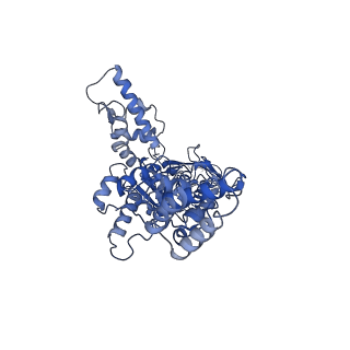 21870_6wqh_C_v1-2
Molecular basis for the ATPase-powered substrate translocation by the Lon AAA+ protease