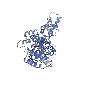 21870_6wqh_D_v1-2
Molecular basis for the ATPase-powered substrate translocation by the Lon AAA+ protease