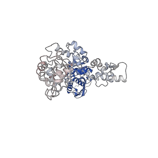 21870_6wqh_E_v1-2
Molecular basis for the ATPase-powered substrate translocation by the Lon AAA+ protease