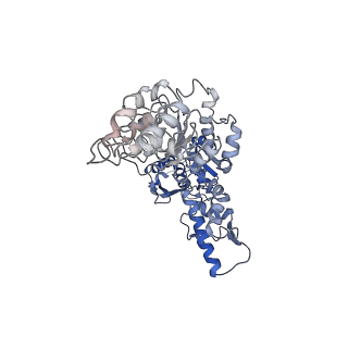 21870_6wqh_F_v1-2
Molecular basis for the ATPase-powered substrate translocation by the Lon AAA+ protease
