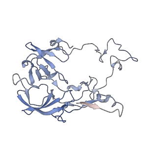21873_6wqq_B_v1-1
Structure of the 50S subunit of the ribosome from Methicillin Resistant Staphylococcus aureus in complex with the antibiotic, radezolid