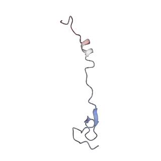 21873_6wqq_N_v1-1
Structure of the 50S subunit of the ribosome from Methicillin Resistant Staphylococcus aureus in complex with the antibiotic, radezolid