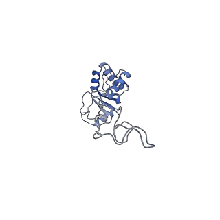 21873_6wqq_S_v1-1
Structure of the 50S subunit of the ribosome from Methicillin Resistant Staphylococcus aureus in complex with the antibiotic, radezolid