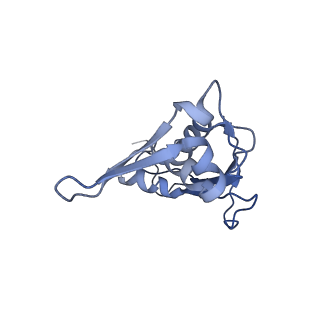 21873_6wqq_V_v1-1
Structure of the 50S subunit of the ribosome from Methicillin Resistant Staphylococcus aureus in complex with the antibiotic, radezolid
