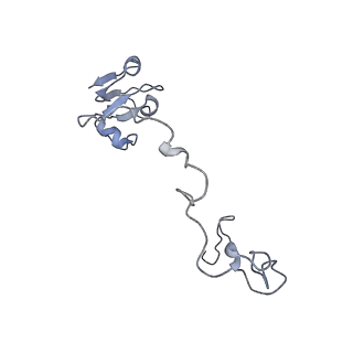 21873_6wqq_X_v1-1
Structure of the 50S subunit of the ribosome from Methicillin Resistant Staphylococcus aureus in complex with the antibiotic, radezolid