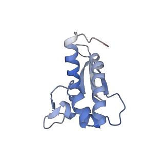 21873_6wqq_Z_v1-1
Structure of the 50S subunit of the ribosome from Methicillin Resistant Staphylococcus aureus in complex with the antibiotic, radezolid