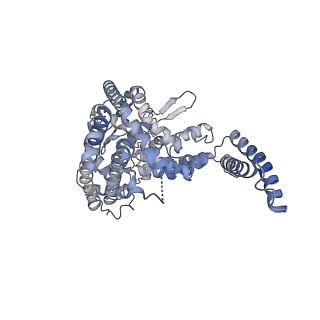 21874_6wqz_A_v1-2
Structure of human ATG9A, the only transmembrane protein of the core autophagy machinery