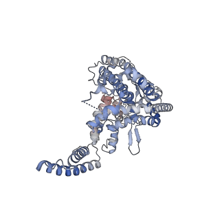 21874_6wqz_B_v1-2
Structure of human ATG9A, the only transmembrane protein of the core autophagy machinery