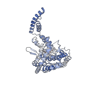 21874_6wqz_C_v1-1
Structure of human ATG9A, the only transmembrane protein of the core autophagy machinery