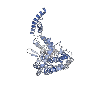 21874_6wqz_C_v1-2
Structure of human ATG9A, the only transmembrane protein of the core autophagy machinery