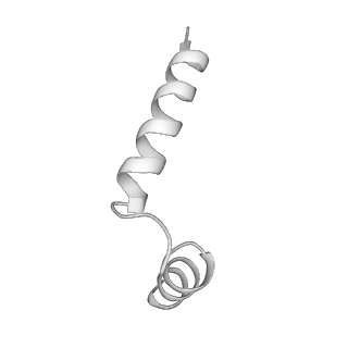 21874_6wqz_E_v1-2
Structure of human ATG9A, the only transmembrane protein of the core autophagy machinery