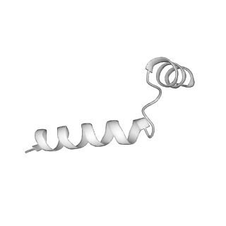 21874_6wqz_F_v1-2
Structure of human ATG9A, the only transmembrane protein of the core autophagy machinery